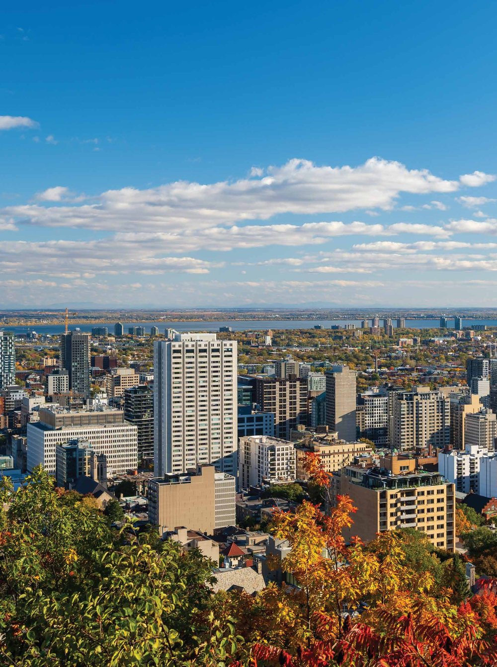 A city skyline of high-rise towers under a blue sky, framed by autumn trees